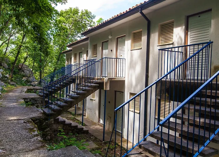 Kacjak