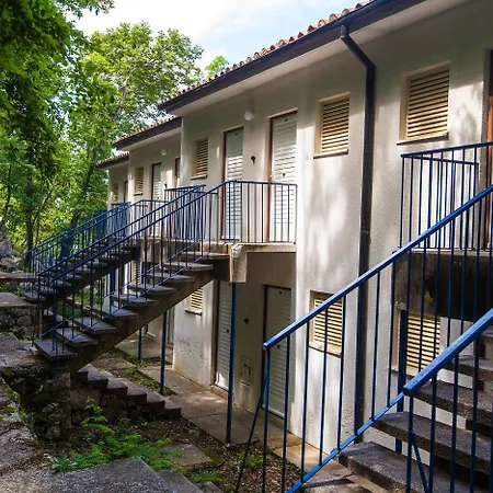 Kacjak